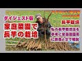 家庭菜園で長芋を栽培する方法ダイジェスト版：2025年配信版