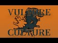Vulture culture am rainworld