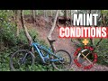 Cannock Chase Trails News &amp; Riding Conditions Update 3/6