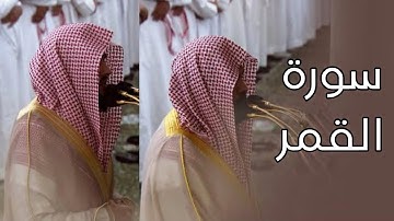 سورة القمر | المصحف الصوتي والمرئي من صلاتي التراويح والتهجد بالمسجد النبوي لعام 1445هـ.