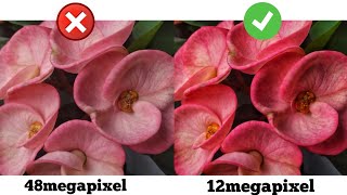 12MP is better than 48MP!! What is the truth behind this? | 12MP vs. 48MP |