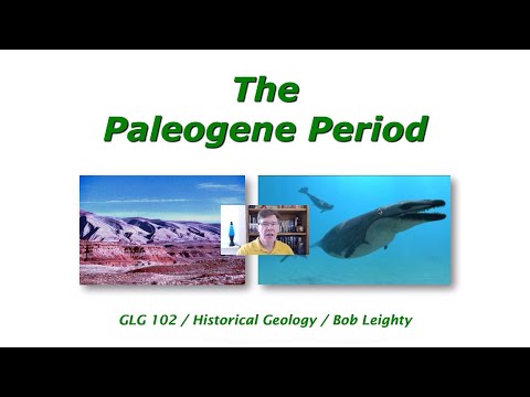 The Paleogene Period