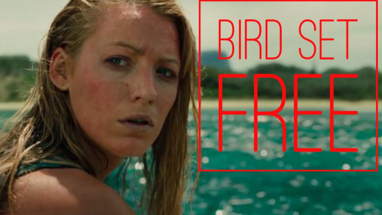 The Shallows |Bird Set Free| - YouTube