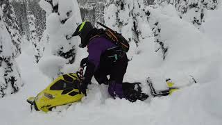 Tree Riding in Sicamous BC