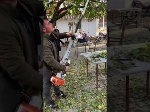 STIHL SP 481  ZEYTİN HASAT MAKİNASI