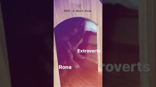 Extroverts VS Rona