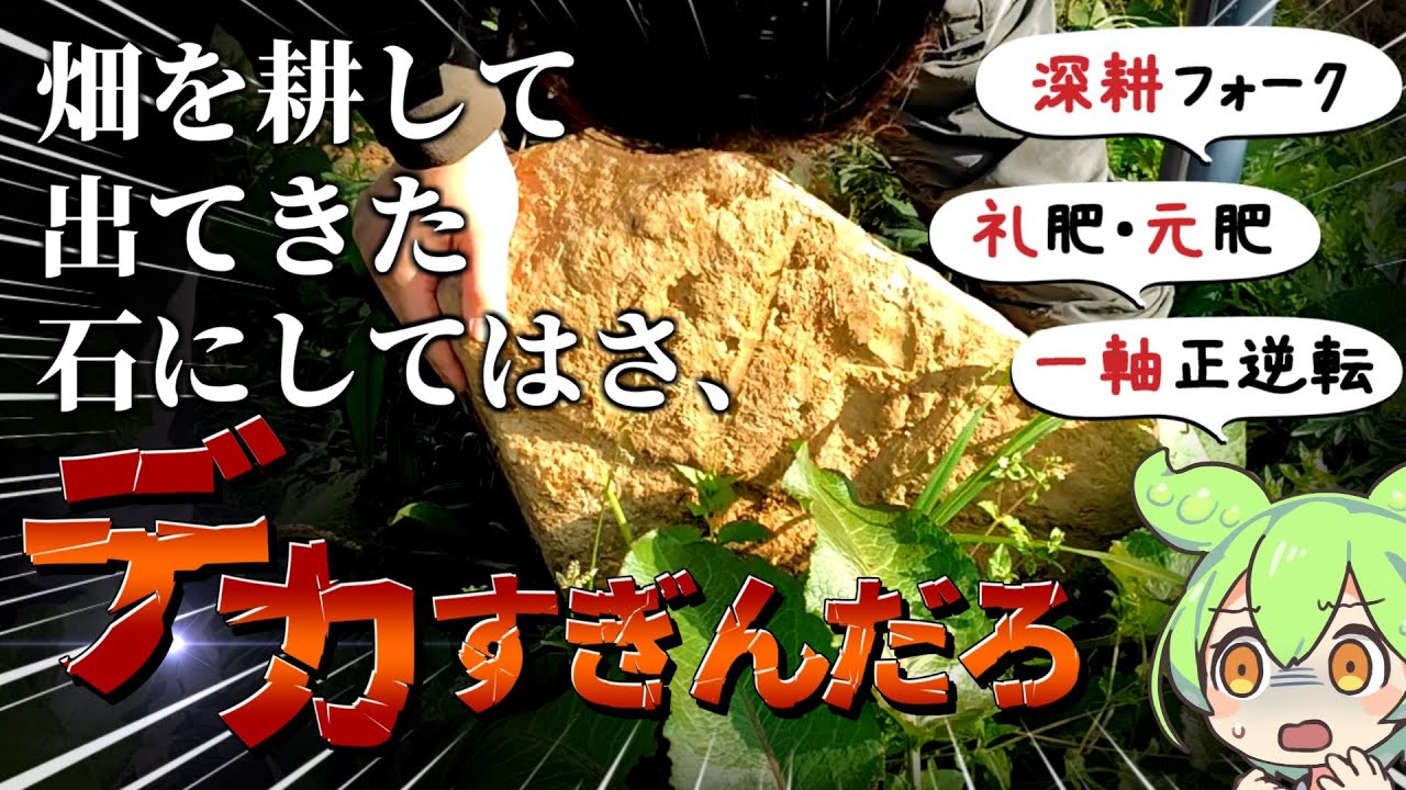 【2026土づくり】3年目のぶどう若木の土づくりと、礼肥・元肥紹介！【2026年ブドウ栽培編#1】