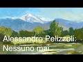 Alessandro Pelizzoli: Nessuno mai