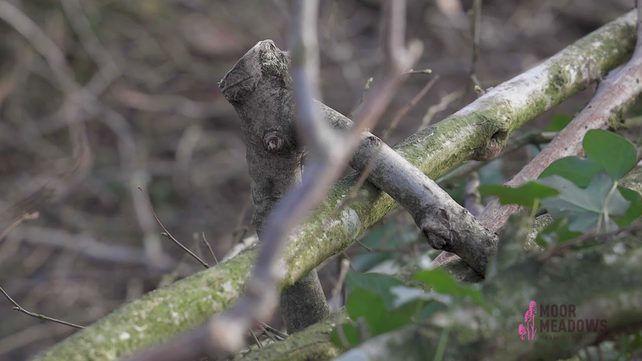 Part 4 - Crooking & trimming