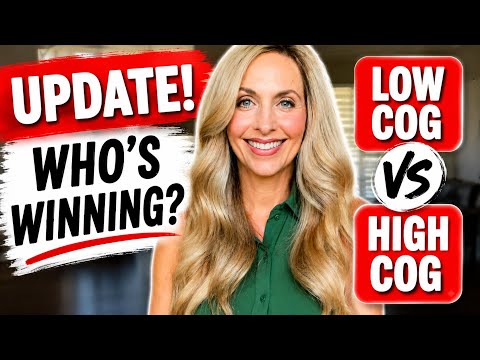 I Tested High COG vs Low COG for 2 Months… Who’s Winning? What Sold on EBay Depop Mercari Poshmark? thumbnail