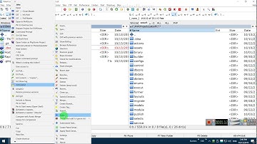 Resolve Git conflicts via Araxis Merge & Tortoise GIT. Show & Analyze log. Using Gitignore feature
