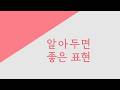 독학 일본어 [초급 플러스] 17 알아두면 좋은 표현 はなしにならない & ねもはもない & めがない