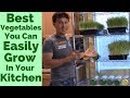 Best Vegetables You Can Easily Grow in Your Kitchen