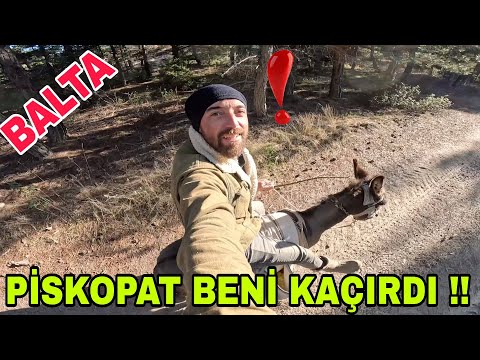 PİSKOPAT BENİ KACIRDI !! ÇAM REÇİNESİ SAKIZI~MİNİK BALTA~YAZ AYINDAN KALMA GÜN