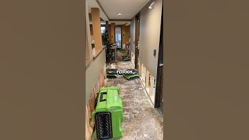 Water Damage Restoration | How To Prevent Mold Growth With Air Movers