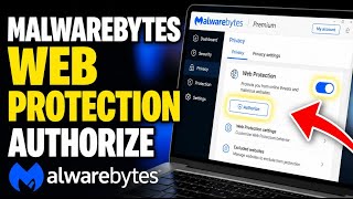 How to authorize Malwarebytes Web Protection settings for privacy defense - Detailed Guide