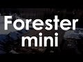 Одноэтажный каркасный дом Forester mini 100 кв.м. 2-ой месяц строительства подошел к концу.ПРОМО