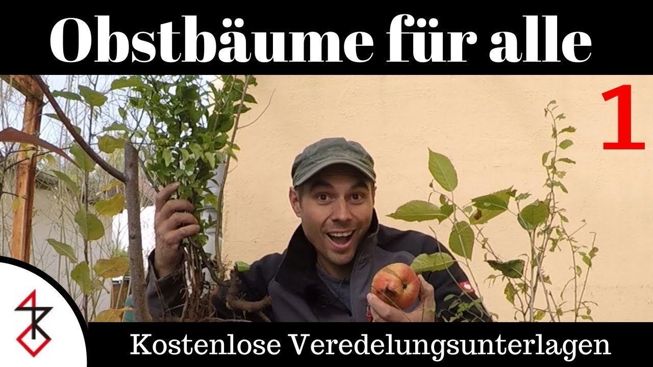 Veredelungsunterlagen | Obstbäume für alle Teil 1
