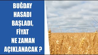 #CANLI Buğday Hasadı Başladı, Fiyat Ne Zaman Açıklanacak ? | Tarım Yazarı Alparslan Tekbaş