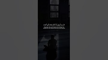 تلاوة هادئة ومريحة 🤍😴 قران كريم بصوت جميل جدا قران كريم  القارئ ياسر الدوسري #المصحف #اكسبلور