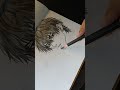 followformore anime drawings
