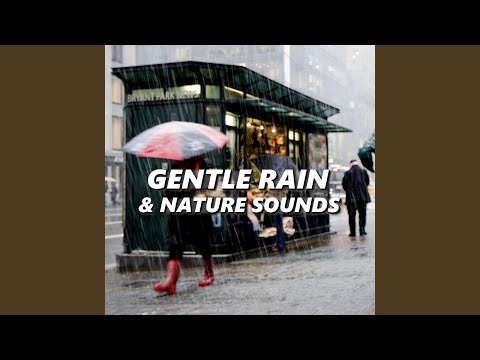 Restful Morning Pouring Rain Sounds