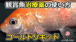 【魚病薬の使い方】観賞魚用治療薬「グリーンFゴールドリキッド」