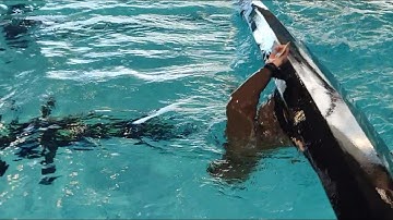 8 Reverse Sweep with paddle held behind back