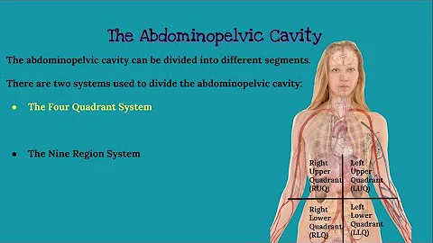 CHAPTER 1 Introduction to Anatomy and Physiology
