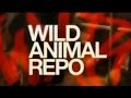 Wild animal repo  jungle friends primate sanctuary