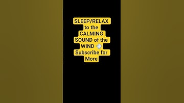 Thumbnail of SLEEP/RELAX to the CALMING SOUND of the WIND 💨Subscribe for More #windsounds #calmmusic #meditation