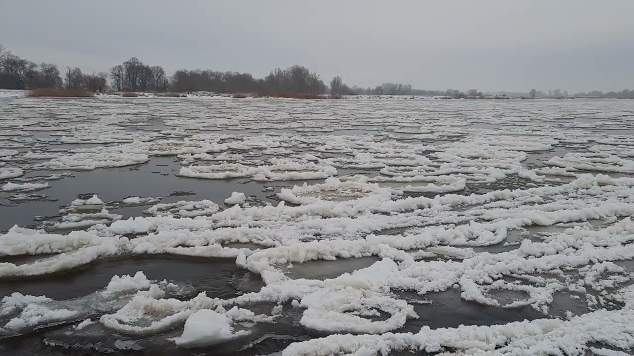 Treibeis auf der Oder im Januar 2026
