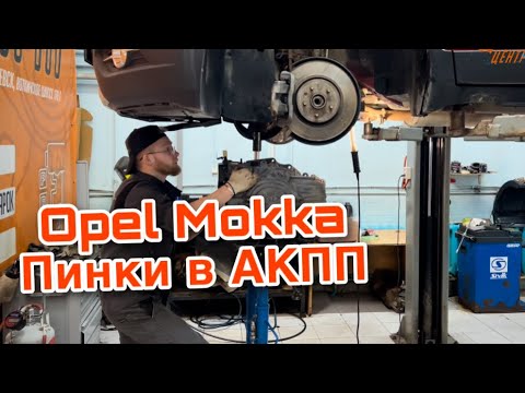 Пинается коробка тигуан