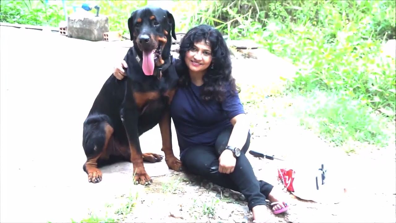 Toby dog emotional with owner | house of hounds | araksat cambodia pet day care | phnomphen |