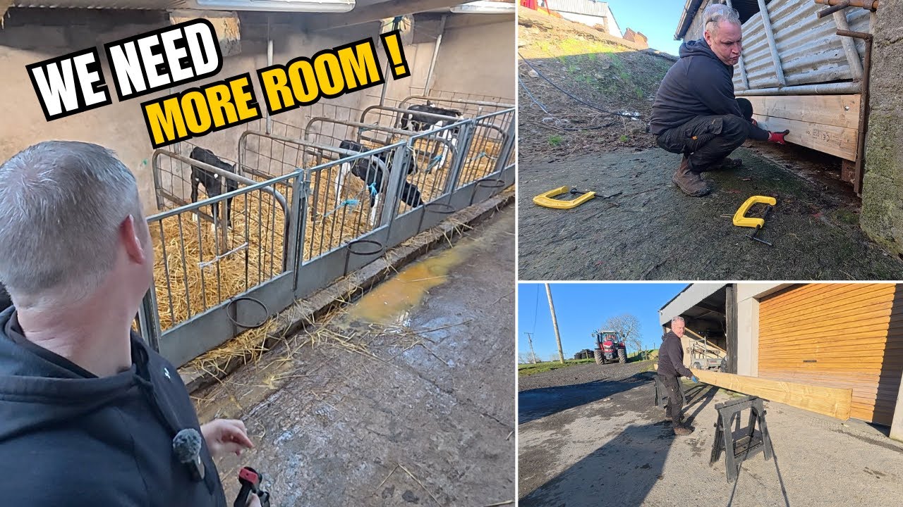 IMPROVING - REPAIRING - DELIVERING ||  Our Busiest Time Of The Year Is Here