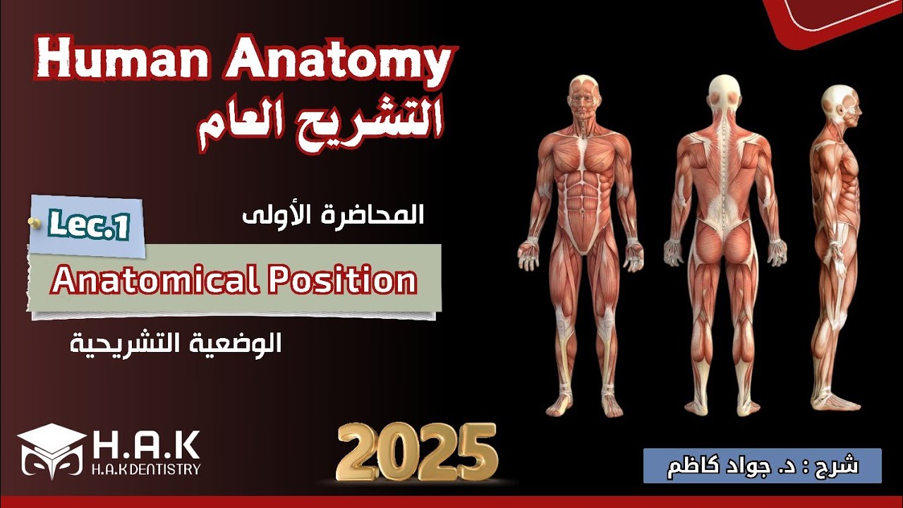 Human anatomy || Lec.1 Introduction || طب أسنان مرحلة أولى