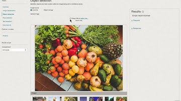 Oracle OCI AI Vision Service - PreBuilt Models
