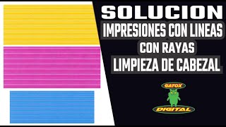 REPARAR RAYAS Y LINEAS EN TU IMPRESION | Limpieza de Cabezal | Epson  L395 | Canon | HP | ✅