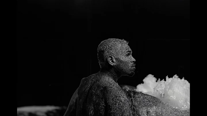 Chris Brown - Bruce Lee Traduction Française (Lyrics)