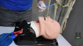 Insertion of a Nasopharyngeal Airway