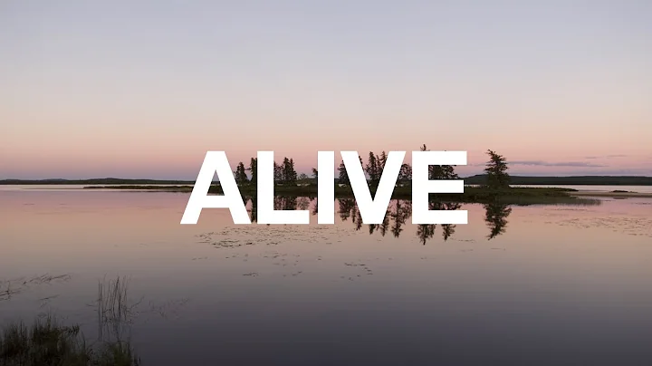 ALIVE Monjur Chowdhury