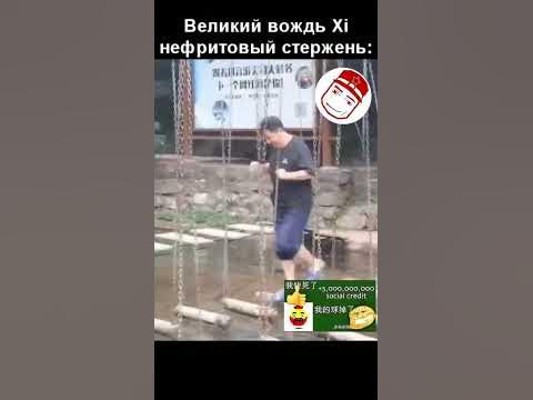 миска риса огромный смех кошка жена - YouTube