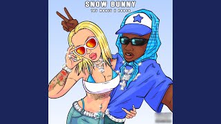 Snow Bunny (Radio Edit) Net Worth