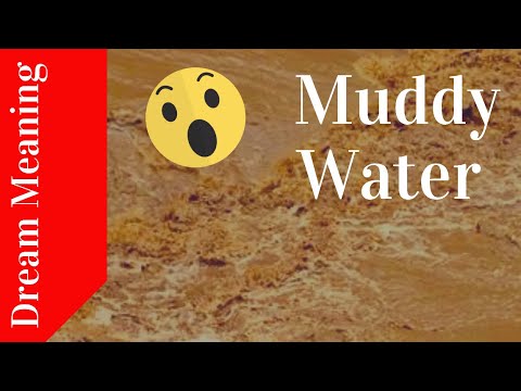 Video: Why Is Muddy Water Dreaming
