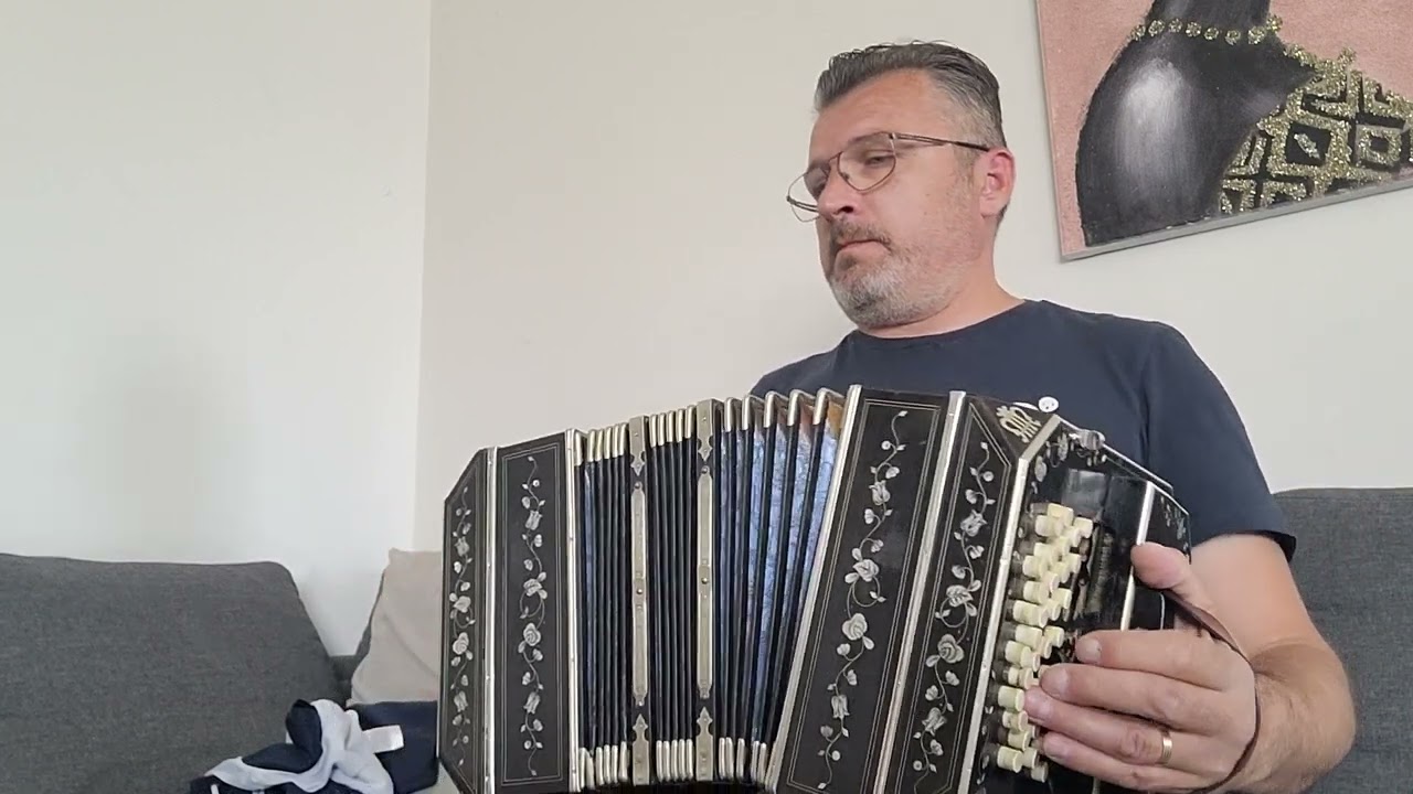 Accordéon bisonore