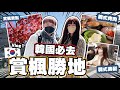 韓國必去!當地人能去的韓國賞楓勝地!? 牛牛體驗韓式美髮啦~『韓國vlog1』【OurTV】