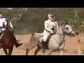 نفلاء نفلاء