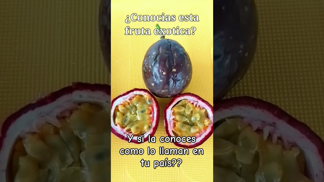 frutas exóticas la conocías ?? #gulupa #maracuya #gulupada #parchita  #frutadelapasion #frutaexotica