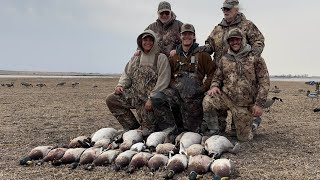 Duck Hunting The Same Field We Got Hunter Harassed In! (Greenheads and a Canvasback?)