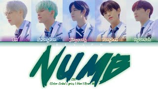 CIX - 순수의 시대 (Numb) (Color Coded Lyrics | Han | Rom | Ina) / Lirik Terjemahan Indonesia